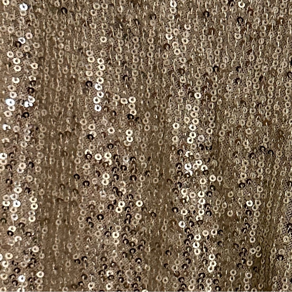 BLANC Sequins Pants 🤍✨🪩 - Picture 4 of 6